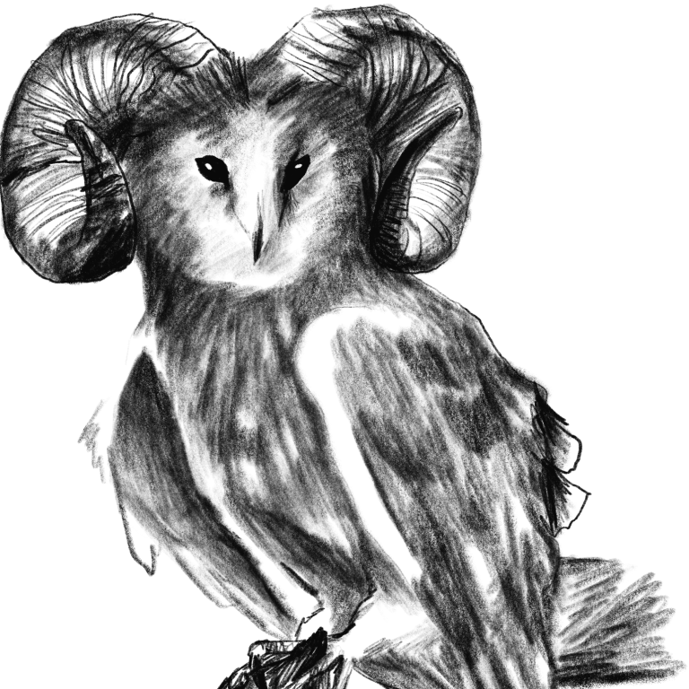 Schwarz-weiße Zeichnung einer Eule mit Widderhörnern, das nach vorn blickt. Symbolbild für das Premium-Paket mit kompletten Printcover